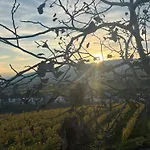 Kervanhof An Der Donau Penzion Kleinpöchlarn