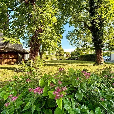 Pensjonat Kervanhof An Der Donau