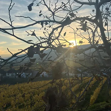 Kervanhof An Der Donau Pensjonat Kleinpöchlarn