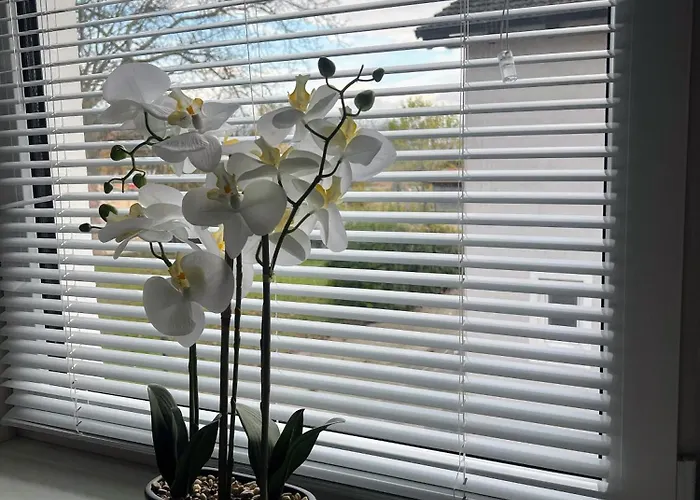 Kervanhof An Der Donau