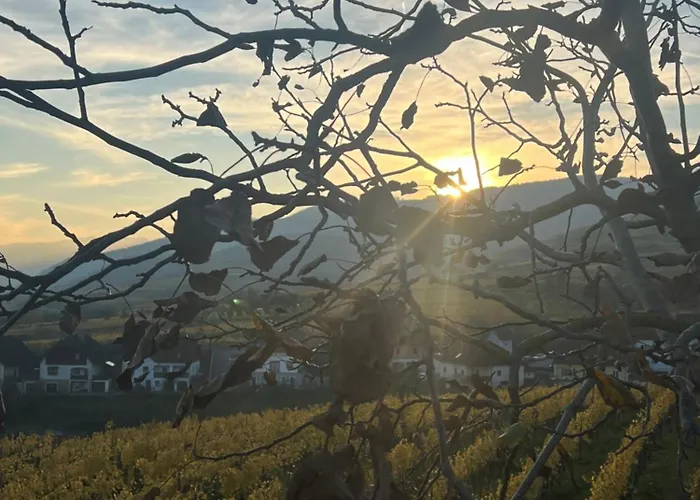 Kervanhof An Der Donau Pensjonat Kleinpöchlarn